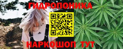 спайс Гусь-Хрустальный