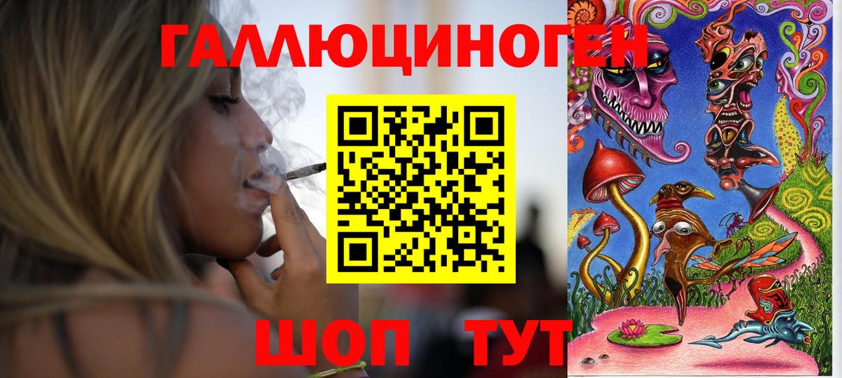 Псилоцибиновые грибы Psilocybe Ногинск